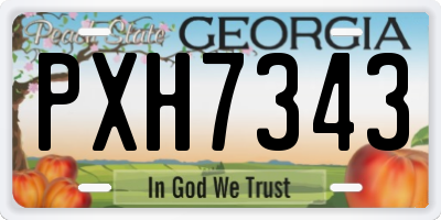 GA license plate PXH7343