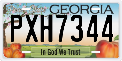 GA license plate PXH7344