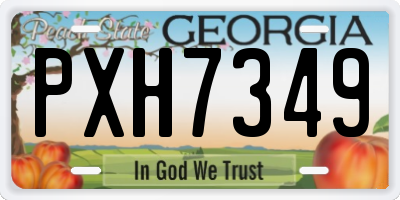 GA license plate PXH7349