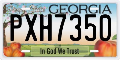 GA license plate PXH7350
