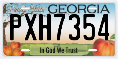 GA license plate PXH7354