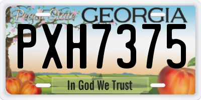 GA license plate PXH7375
