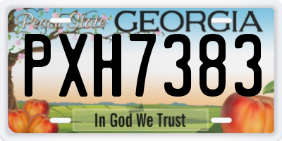GA license plate PXH7383