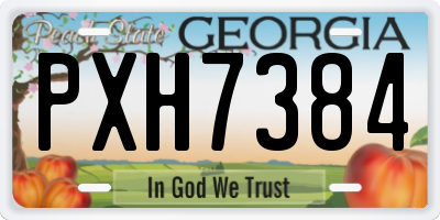 GA license plate PXH7384