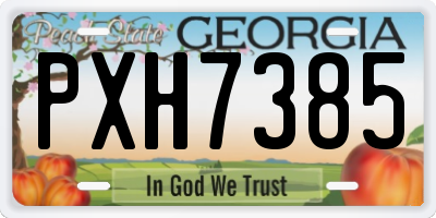 GA license plate PXH7385