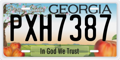 GA license plate PXH7387