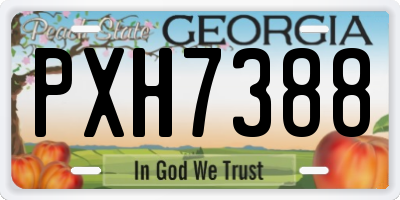 GA license plate PXH7388