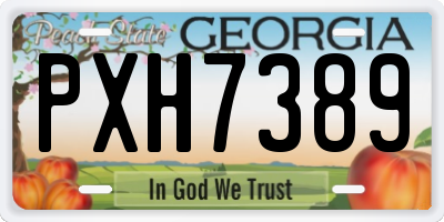 GA license plate PXH7389
