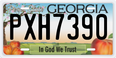 GA license plate PXH7390