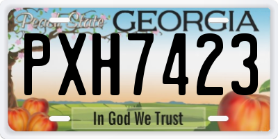 GA license plate PXH7423