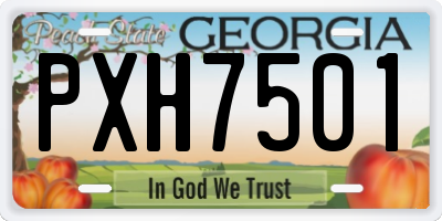 GA license plate PXH7501