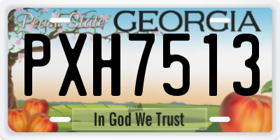 GA license plate PXH7513