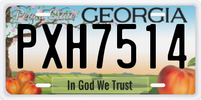 GA license plate PXH7514