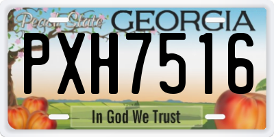 GA license plate PXH7516
