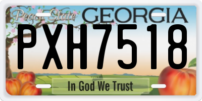 GA license plate PXH7518