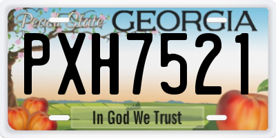 GA license plate PXH7521