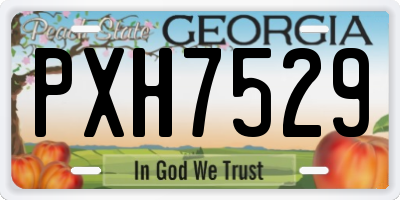 GA license plate PXH7529