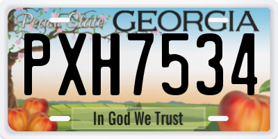 GA license plate PXH7534