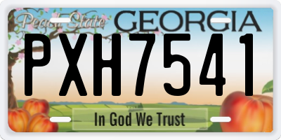 GA license plate PXH7541