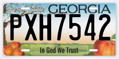 GA license plate PXH7542
