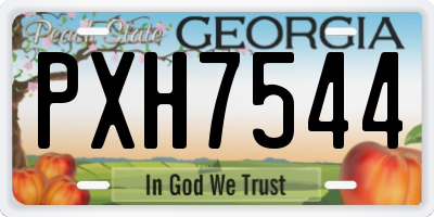 GA license plate PXH7544