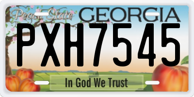 GA license plate PXH7545
