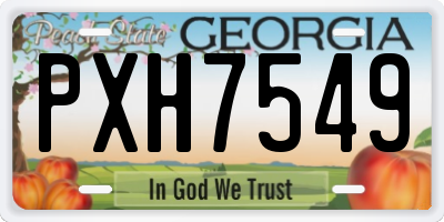 GA license plate PXH7549
