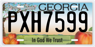 GA license plate PXH7599