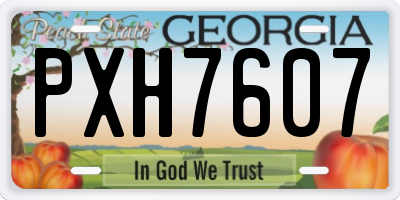 GA license plate PXH7607