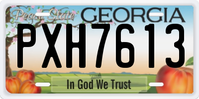 GA license plate PXH7613
