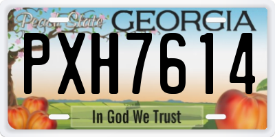 GA license plate PXH7614