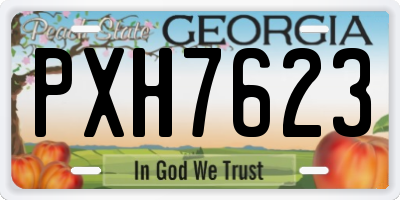 GA license plate PXH7623