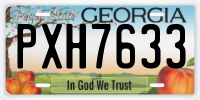 GA license plate PXH7633