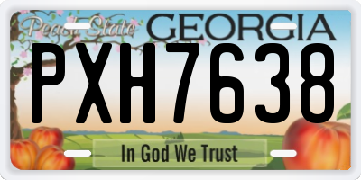 GA license plate PXH7638