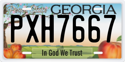 GA license plate PXH7667