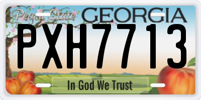 GA license plate PXH7713