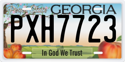 GA license plate PXH7723