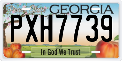 GA license plate PXH7739