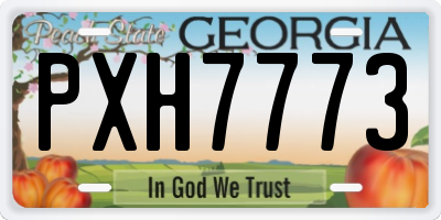 GA license plate PXH7773