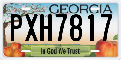GA license plate PXH7817