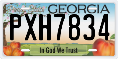 GA license plate PXH7834