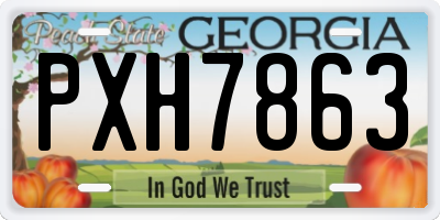 GA license plate PXH7863