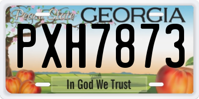 GA license plate PXH7873