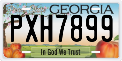GA license plate PXH7899