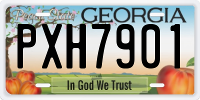 GA license plate PXH7901