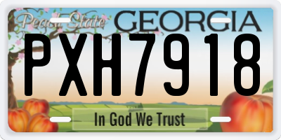 GA license plate PXH7918