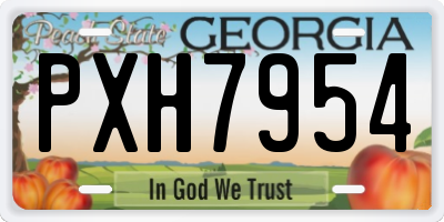 GA license plate PXH7954