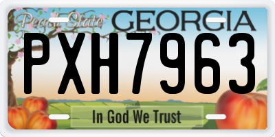 GA license plate PXH7963