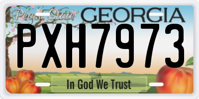 GA license plate PXH7973
