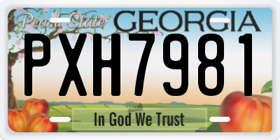 GA license plate PXH7981